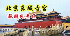 女人的大黑逼视频中国北京-东城古宫旅游风景区